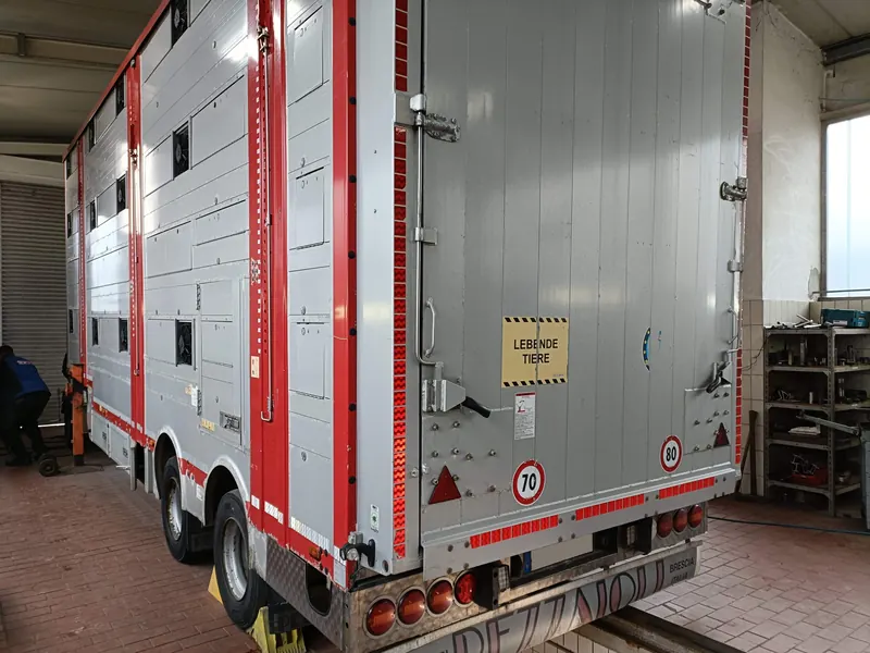 Drehkranz Tiertransporter-Anhänger: Foto aus der Autowelt-Werkstatt