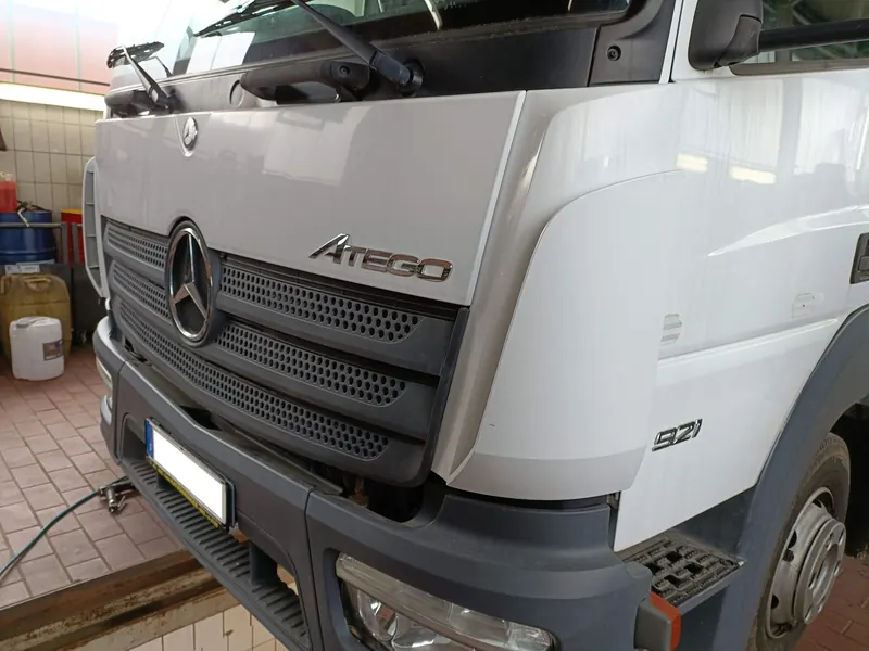 Bremsscheiben Atego 921 Pferdetransporter: Foto aus der Autowelt-Werkstatt